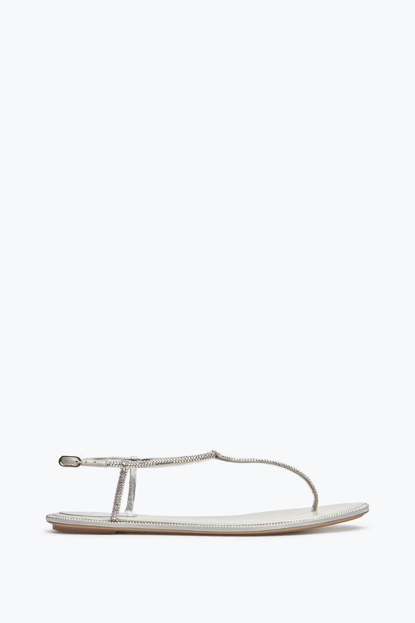 jeweled flache flip-flops diana rene caovilla