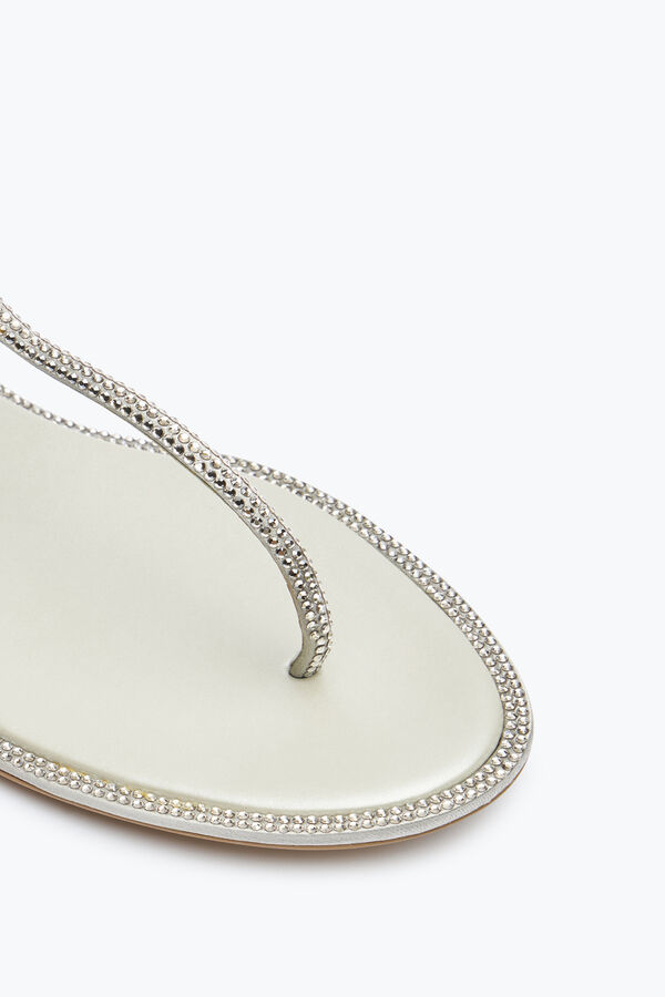jeweled flache flip-flops diana rene caovilla