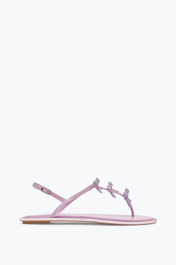 jeweled caterina mauve thong sandal 10 rene caovilla