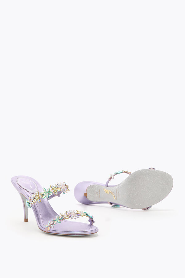 jeweled eva flieder mule 80 rene caovilla