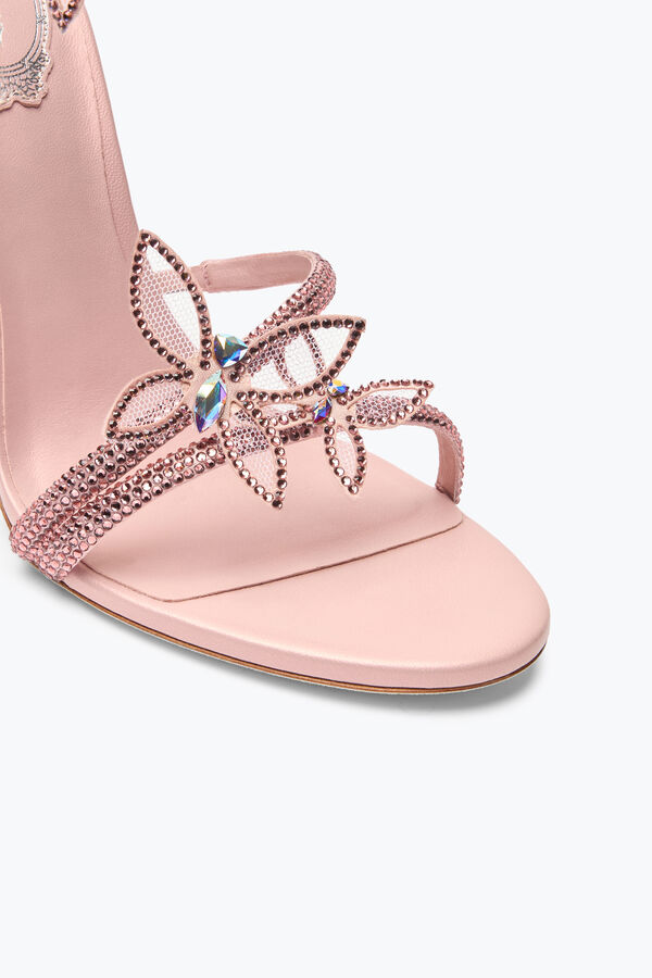jeweled margot rosa pulver schmetterling sandale 105 rene caovilla