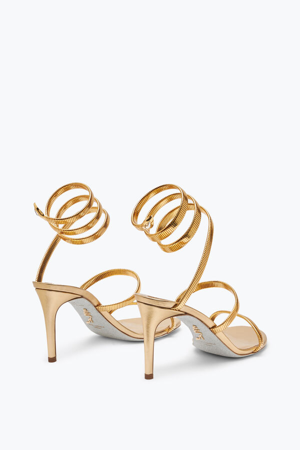 jeweled juniper metallic gold sandale 80 rene caovilla