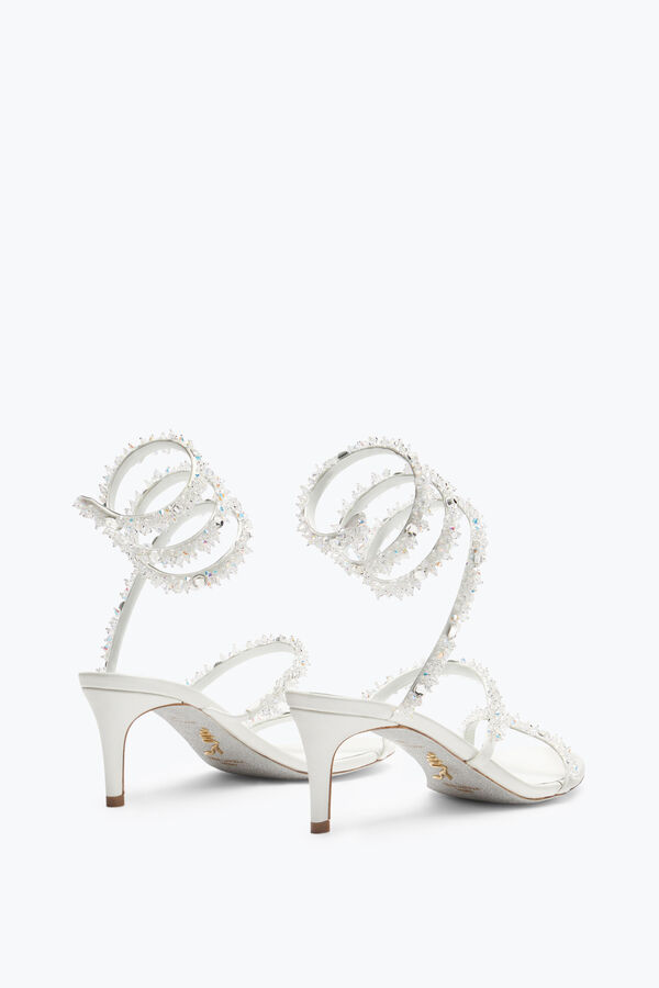 jeweled cinderella weiße sandale mit schlange 60 rene caovilla