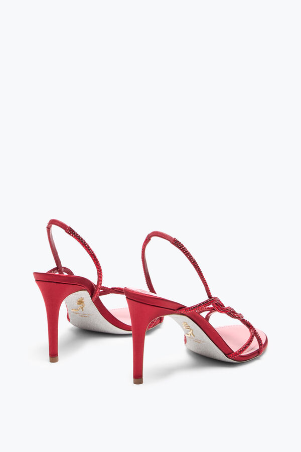jeweled braid red sandal 80 rene caovilla