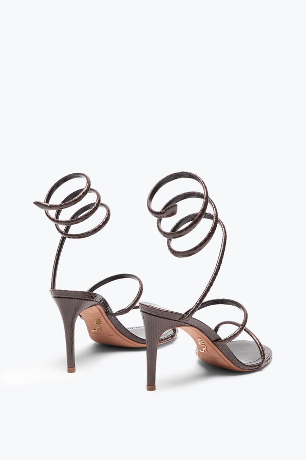 jeweled cleo brown-ayers leder sandale 80 rene caovilla