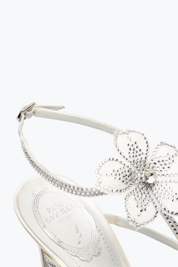 jeweled elfenbein pfirsich blume sandale 80 rene caovilla