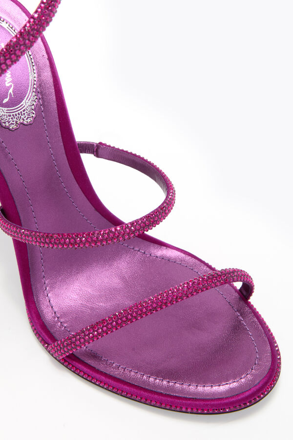 jeweled cleo porpora sandal 105 rene caovilla