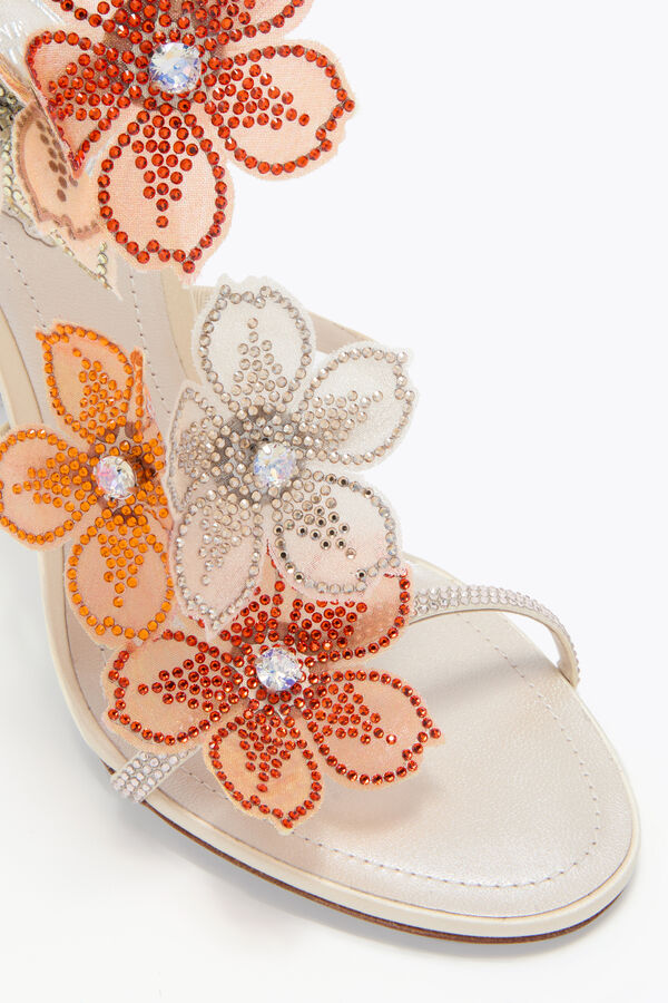 jeweled pfirsich blume elfenbein und orange sandal 105 rene caovilla