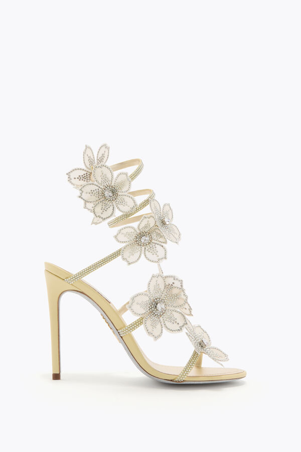 jeweled pfirsich blume zitrone gelb sandale 105 rene caovilla