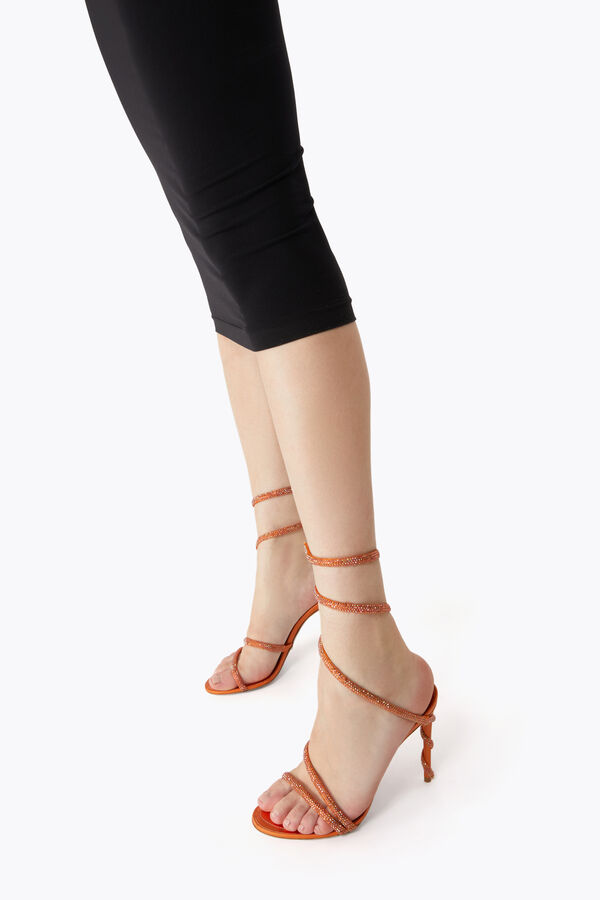 jeweled margot orange sandal 105 rene caovilla