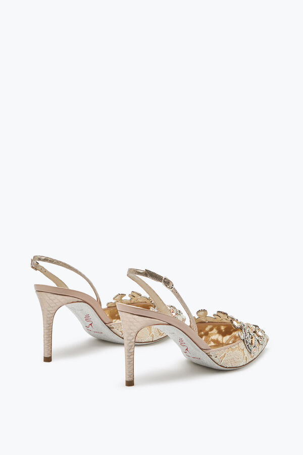 jeweled veneziana spitze slingbacks 75 rene caovilla