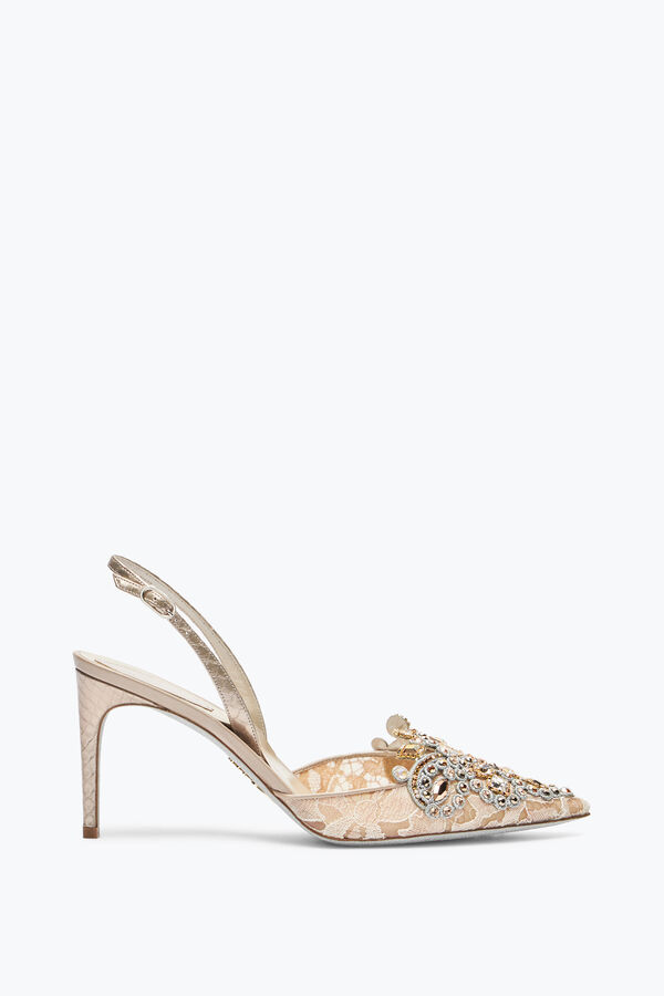 jeweled veneziana champagner slingback 80 rene caovilla